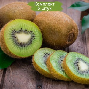 Саженцы Киви опылителя Мальбэк -  комплект 5 шт.